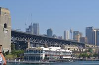 Sydney (25)
