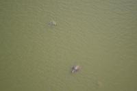 Tjapukai Kulturzentrum (2)