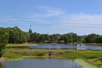 Tjapukai Kulturzentrum (3)