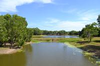 Tjapukai Kulturzentrum (7)