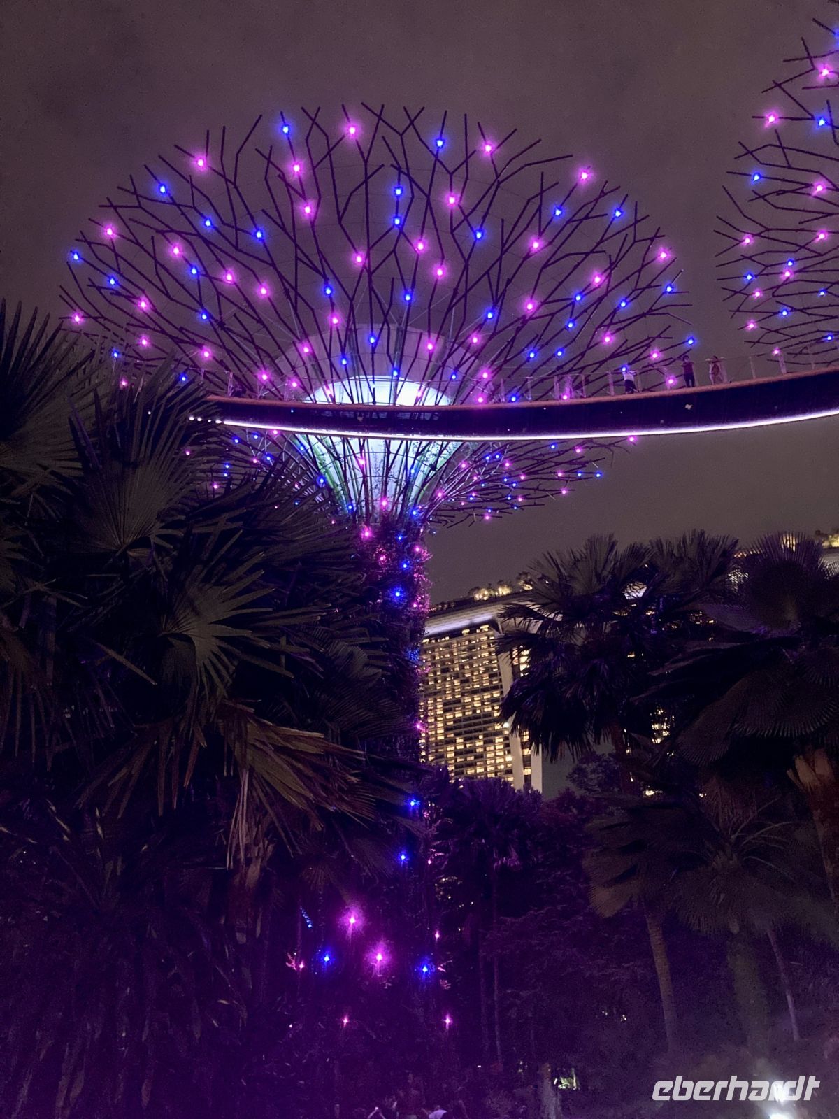 Gardens By the Bay bei Nacht