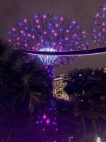 Gardens By the Bay bei Nacht