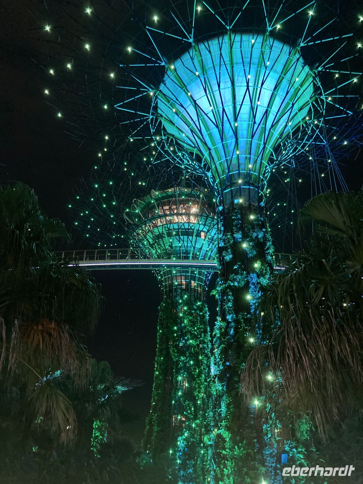 Gardens By the Bay bei Nacht