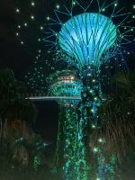 Gardens By the Bay bei Nacht