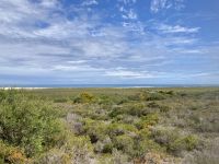 Erster Stopp Ausflug zu den Pinnacles