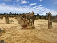 Die Pinnacles