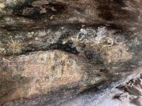 Felsmalereien