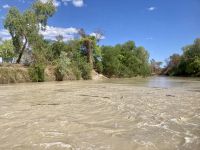 East Alligator River