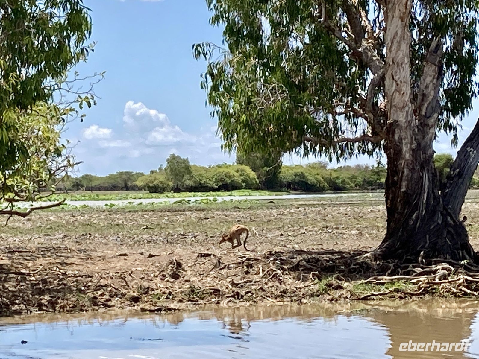 Bootsfahrt auf dem Yellow Waters