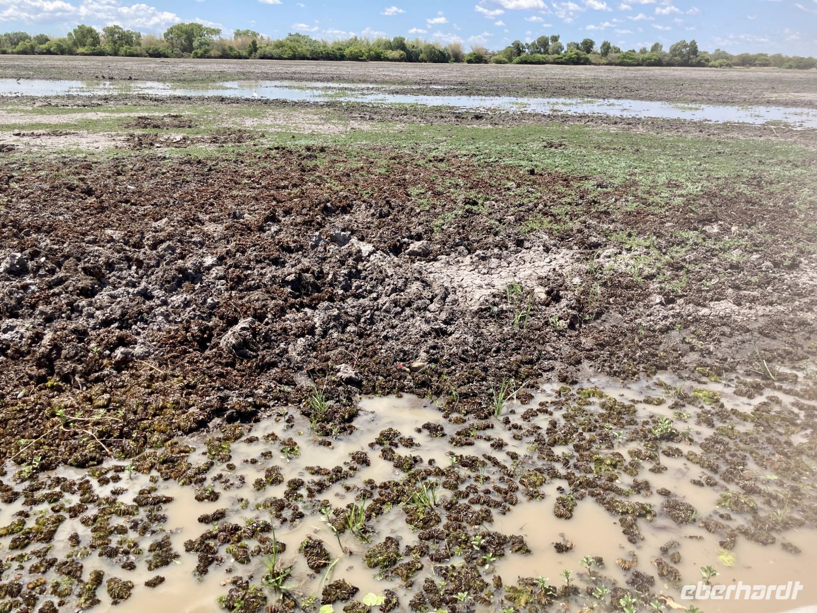 Bootsfahrt auf dem Yellow Waters