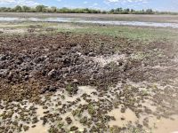 Bootsfahrt auf dem Yellow Waters