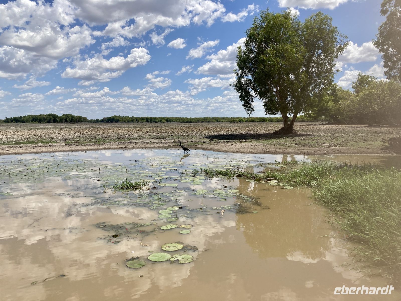 Bootsfahrt auf dem Yellow Waters
