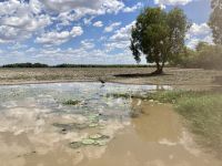 Bootsfahrt auf dem Yellow Waters