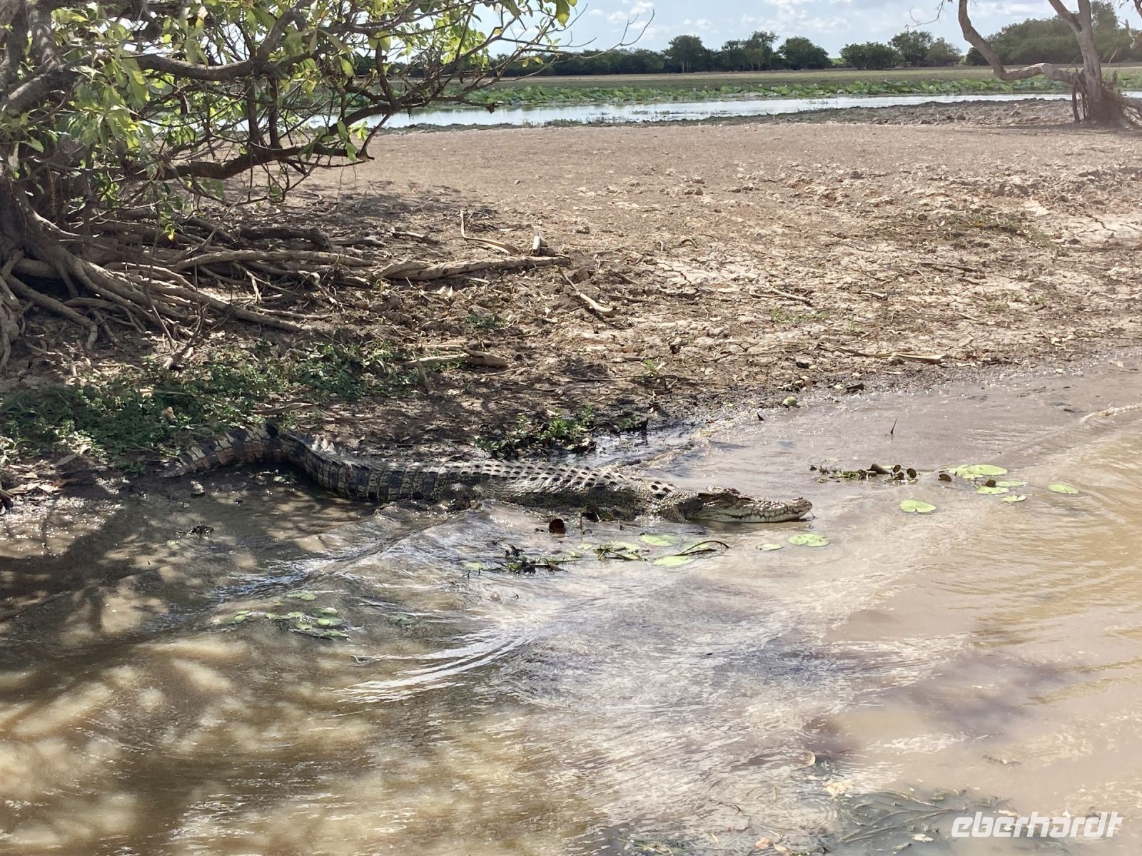 Bootsfahrt auf dem Yellow Waters