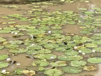 Bootsfahrt auf dem Yellow Waters