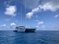 Ausflug zum Great Barrier Reef