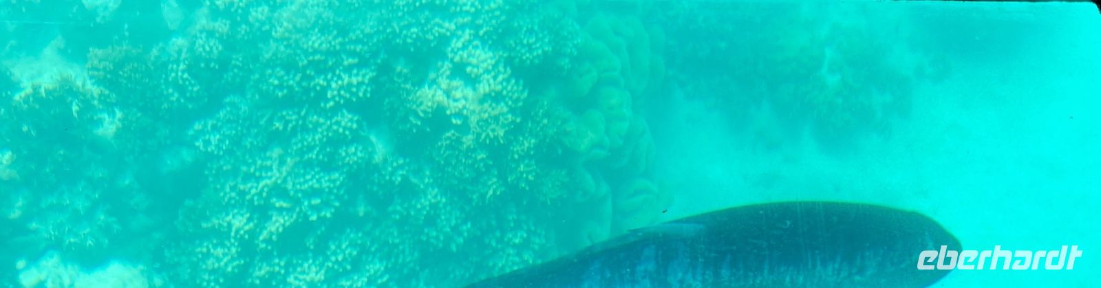 Ausflug zum Great Barrier Reef