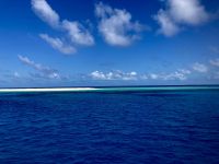 Ausflug zum Great Barrier Reef