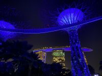 Garden by the Bay: Supertrees
