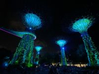 Gardens by the Bay: Supertrees
