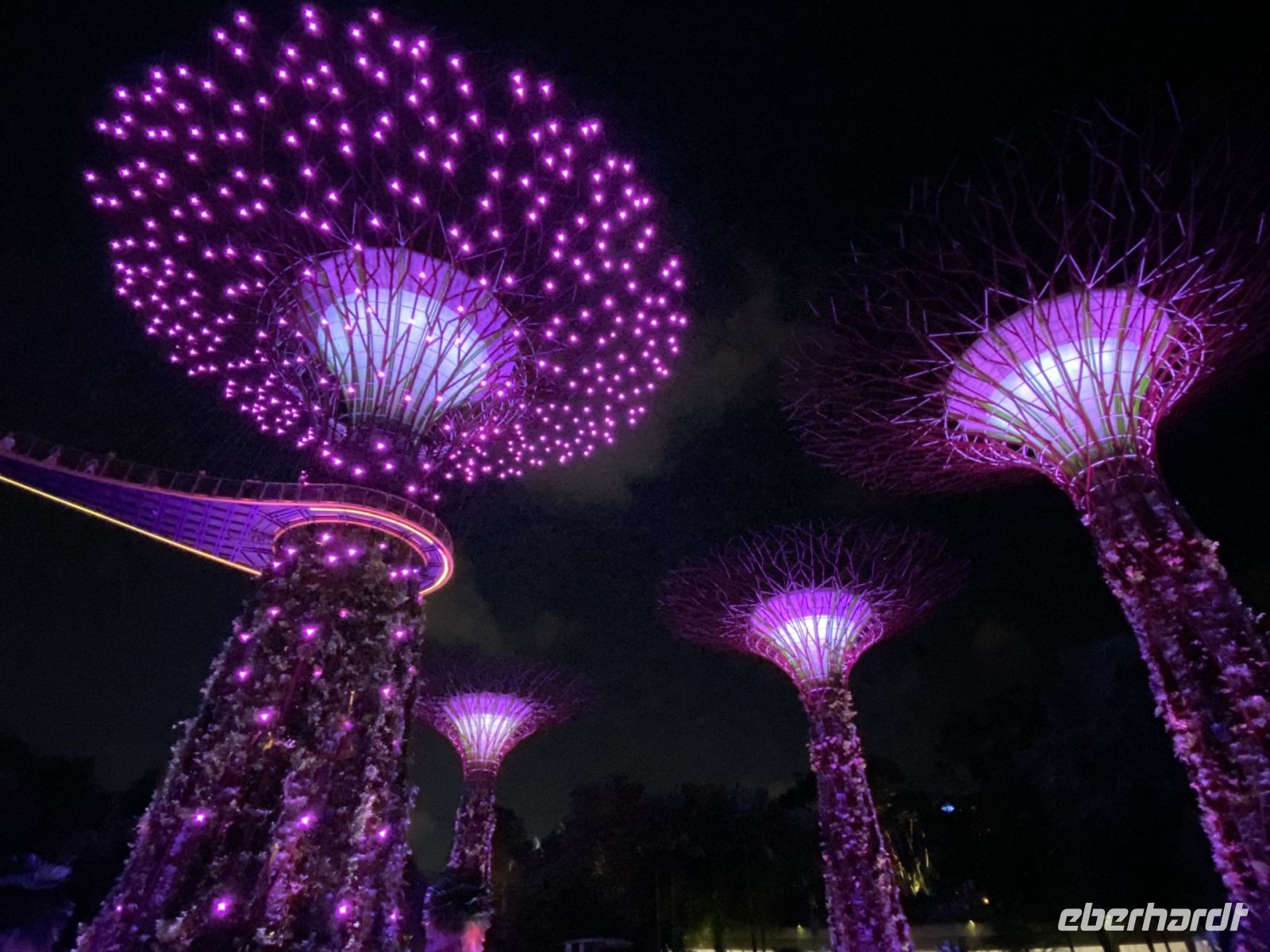 Gardens by the Bay: Supertrees