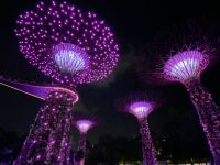 Gardens by the Bay: Supertrees