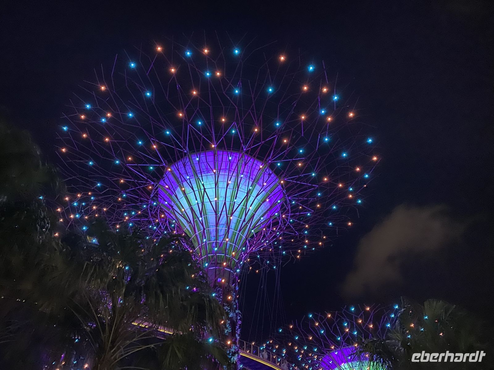 Gardens by the Bay: Supertrees