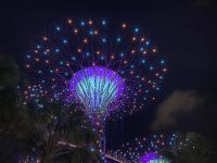 Gardens by the Bay: Supertrees