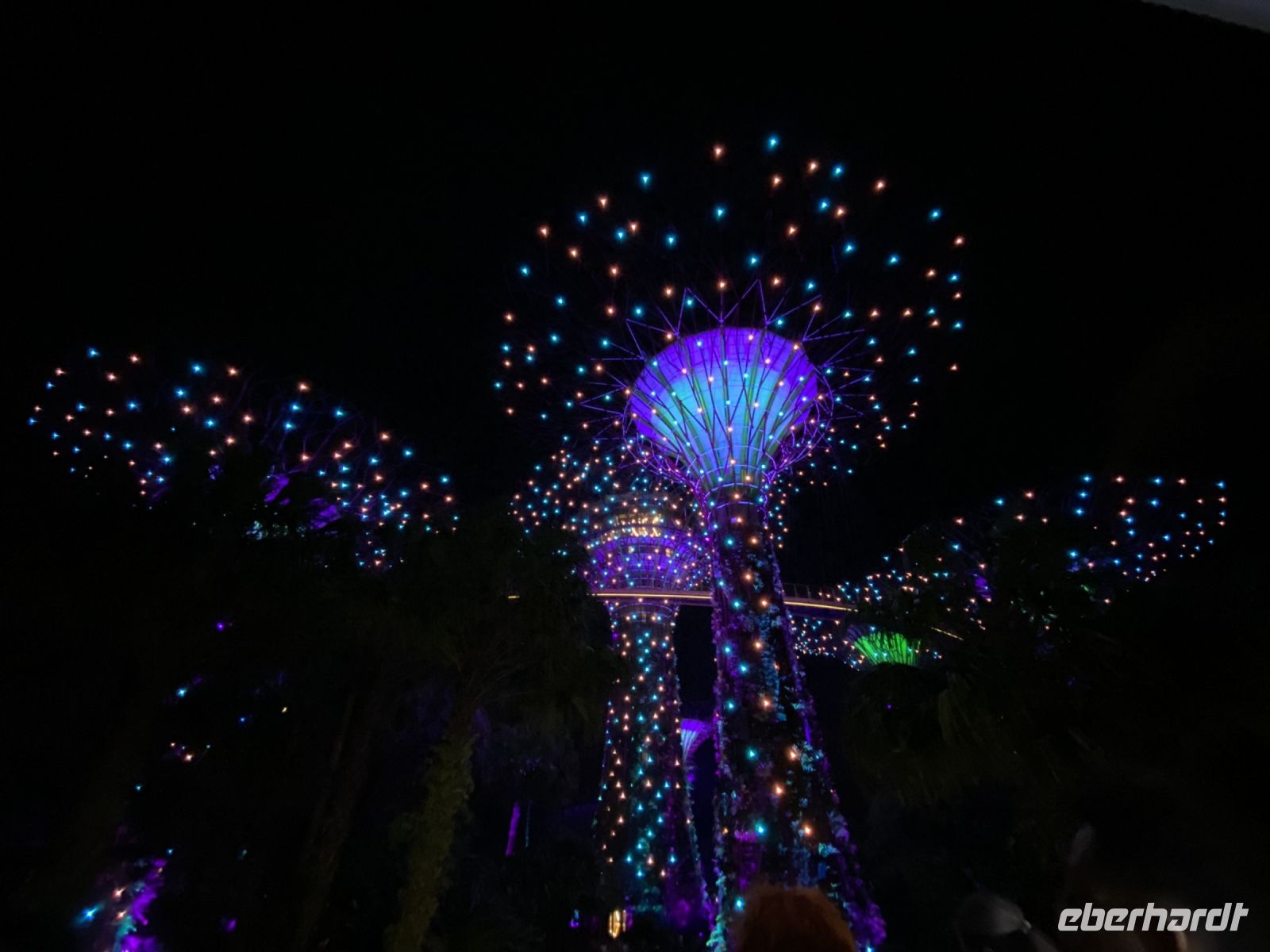 Gardens by the Bay: Supertrees