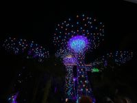 Gardens by the Bay: Supertrees