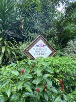 National Orchid Garden Singapur