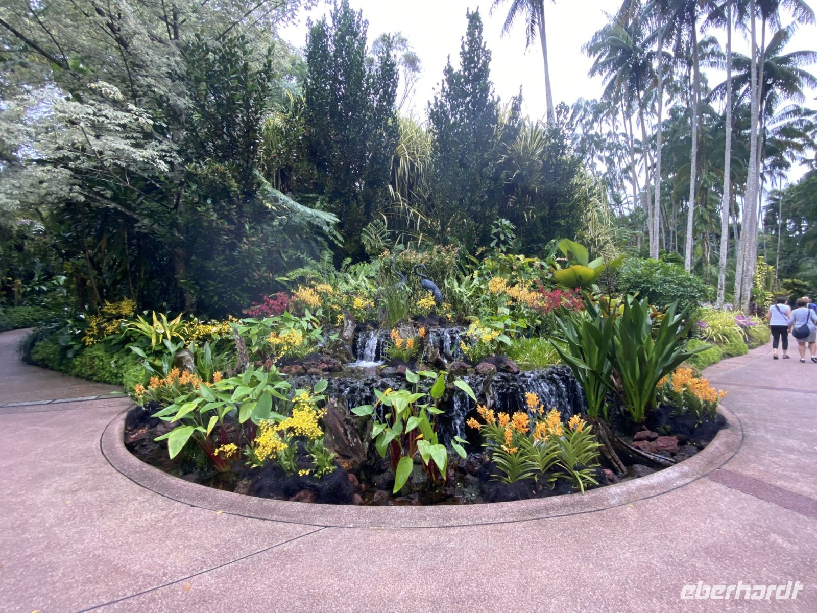 National Orchid Garden Singapur