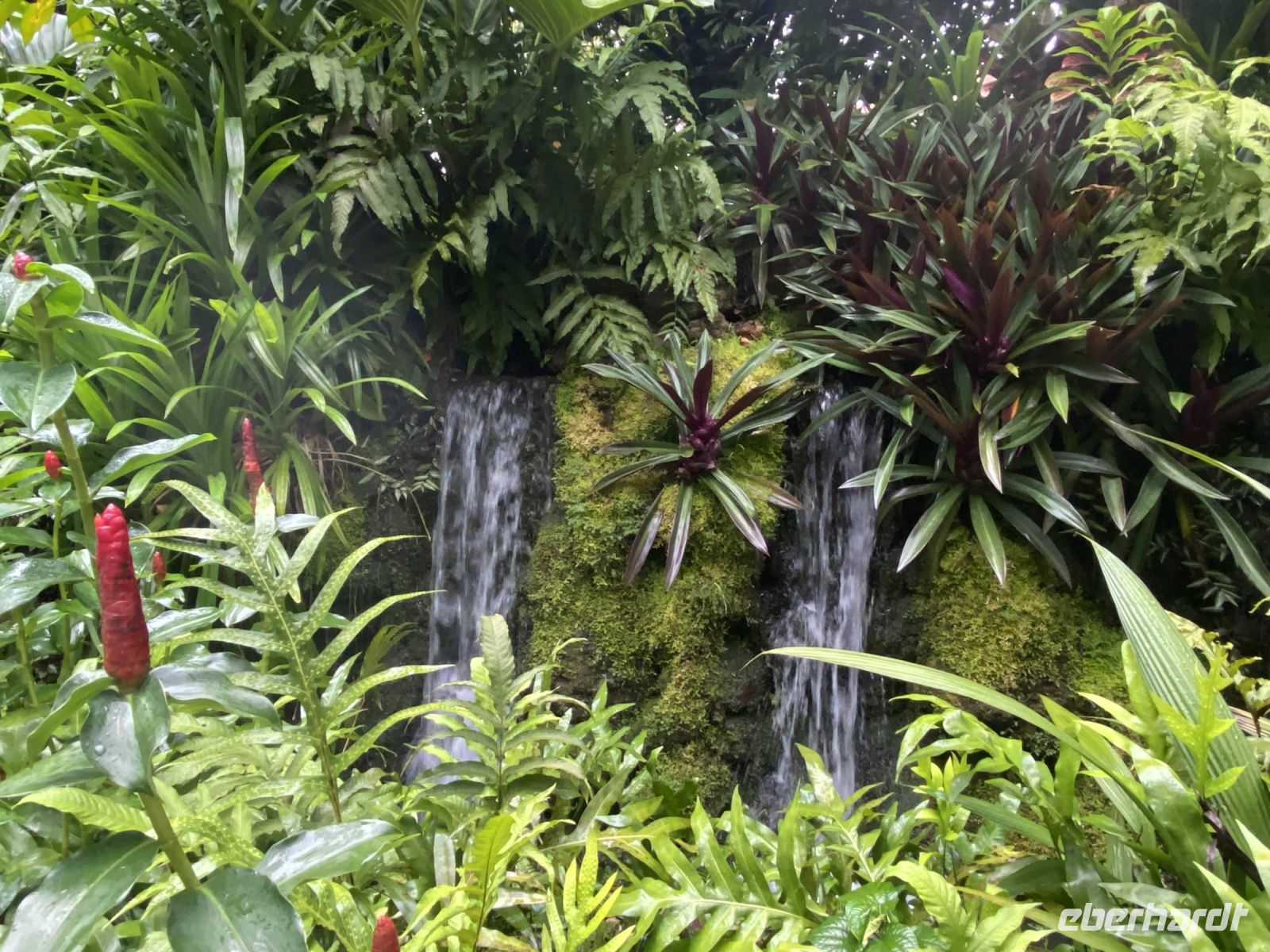 künstlich angelegter Wasserfall im National Orchid Garden Singapur