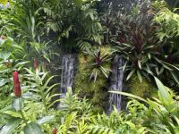 künstlich angelegter Wasserfall im National Orchid Garden Singapur
