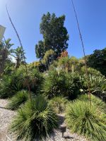 Royal Botanic Garden Melbourne