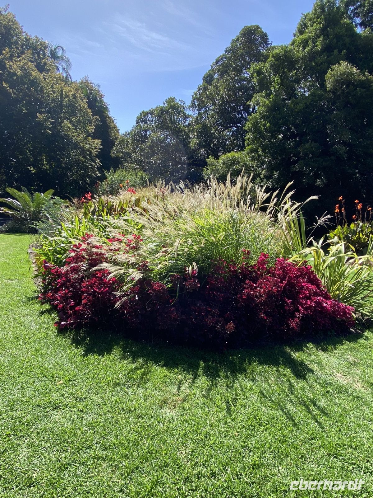 Grünanlage im Royal Botanic Garden Melbourne