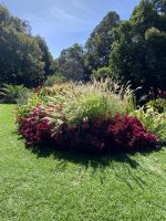 Grünanlage im Royal Botanic Garden Melbourne