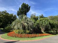 Grünanlage im Fitzroy Garden Melbourne