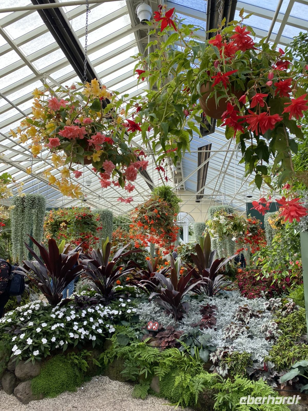 Gewächshaus mit Orchideen in Fitzroy Garden