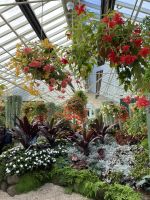 Gewächshaus mit Orchideen in Fitzroy Garden