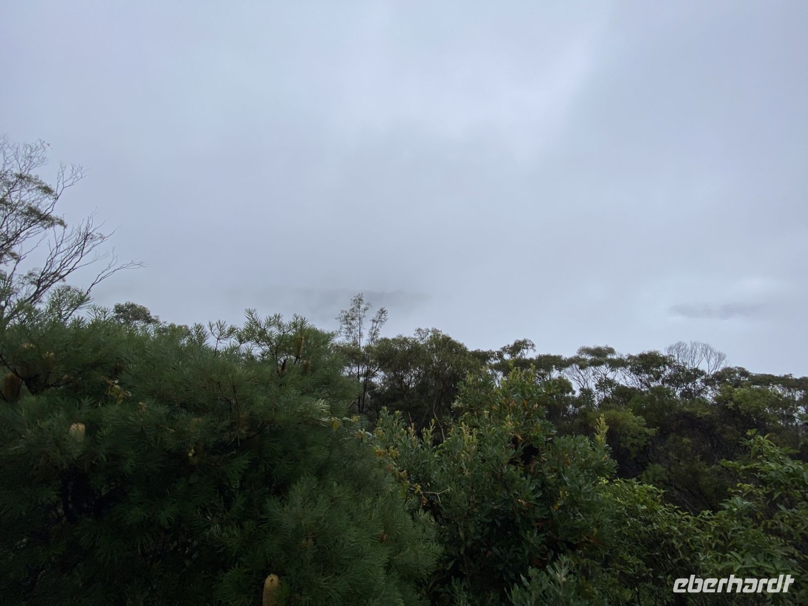 Blue Mountain Nationalpark (hier sieht man normalerweise die Three Sisters)