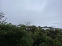 Blue Mountain Nationalpark (hier sieht man normalerweise die Three Sisters)