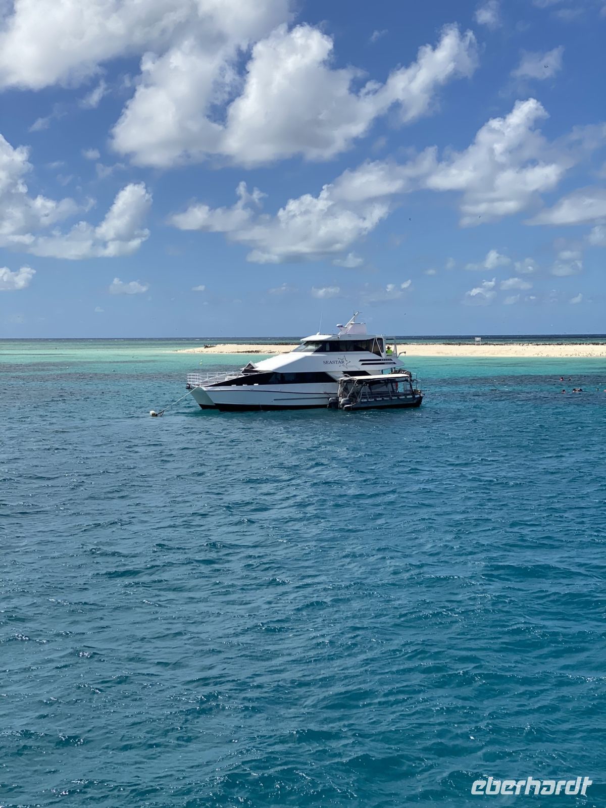 Michaelmas Cay Great Barrier Reef