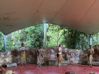 Tanzshow der Pamagirri