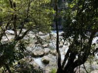 Mossman Gorge