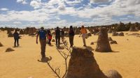 Rundreise Australien - Besuch der Pinnacles-Kalksteinfelsen