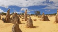 Rundreise Australien - Besuch der Pinnacles-Kalksteinfelsen