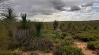 Rundreise Australien - Wanagarren Naturreservat