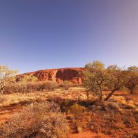 Rundreise Australien - Spaziergang am Uluru im Outback