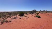 Rundreise Australien - unterwegs im Outback